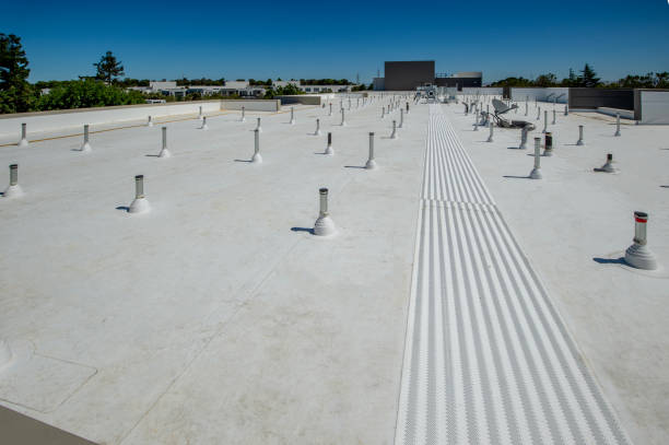 Roof Coating Services in Gruetli Laager, TN